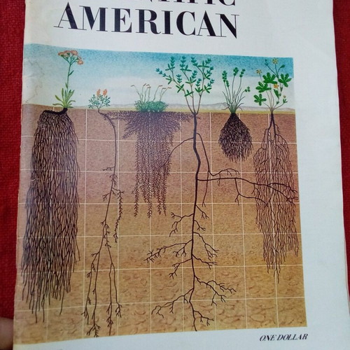 Scientific American used magazines, pack of 2, 1970s