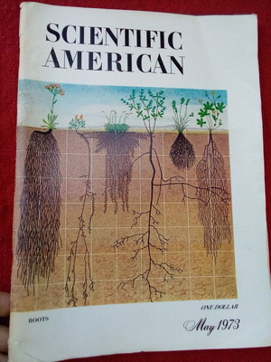 Scientific American used magazines, pack of 2, 1970s