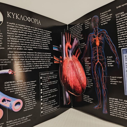 Human Body 3D Book used, by Parker Steve