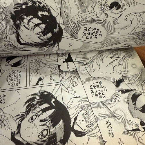 Dream Saga manga volume 1 by Megumi Tachikawa