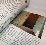 Nemecis magazine used