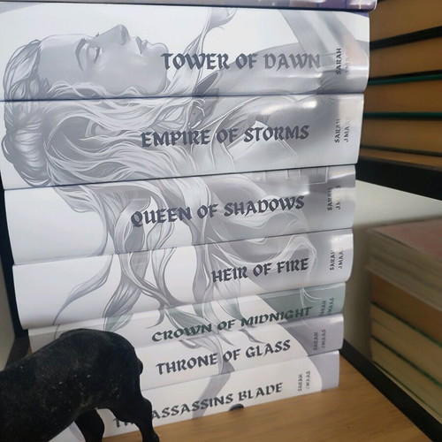 Throne of Glass book dust covers new, set for 20cm paperback