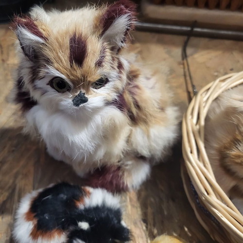 Plush Cats like new, various sizes, sold together