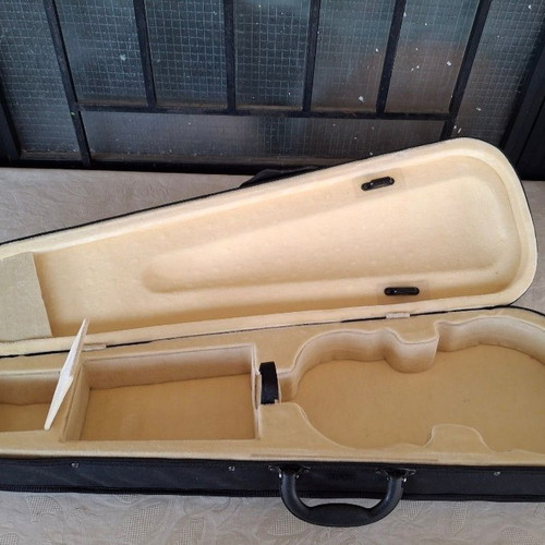 Violin case rectangular and mandolin gig bag used