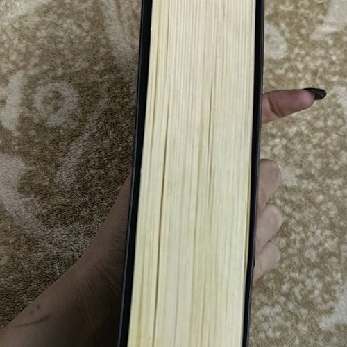Blood Promise book like new