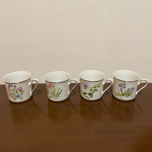 Flora Graeca collectible porcelain cup set by Niki Goulandri new