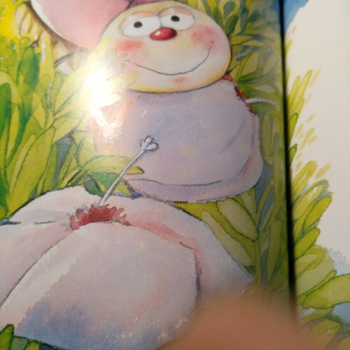 Children's book with beautiful illustrations and colors