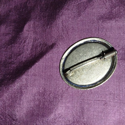 Vintage oval brooch with pressed dried flowers like new