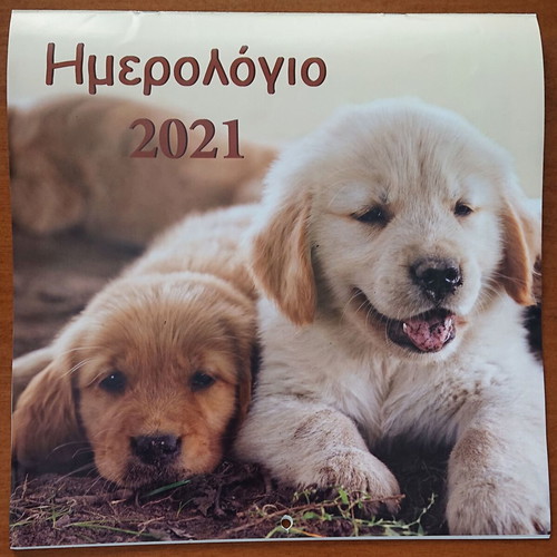 Annual wall calendar 2021 like new with puppies and kittens
