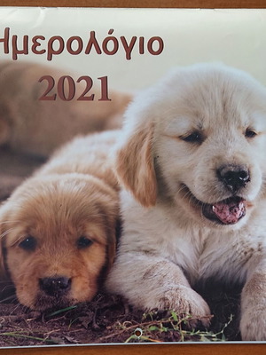 Annual wall calendar 2021 like new with puppies and kittens
