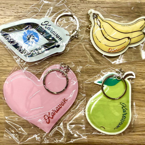 Karavan keychains new, colorful set