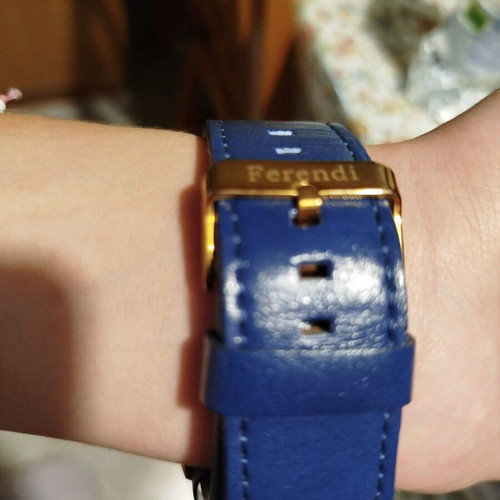 Women's Watch Ferendi F1020