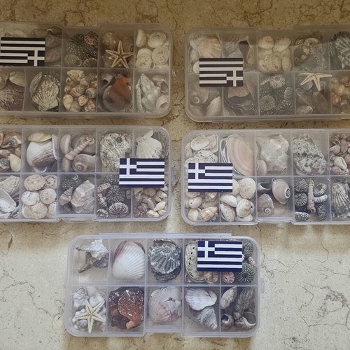 Mini shells, set of 5 gift boxes