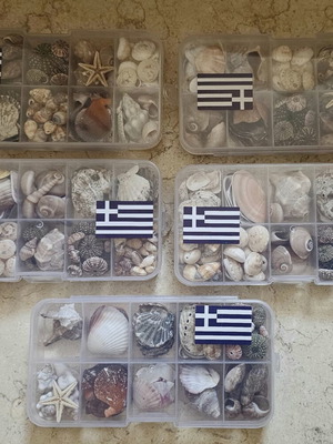 Mini shells, set of 5 gift boxes