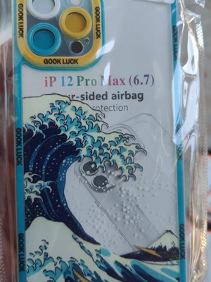 iPhone 12 Pro Max case new