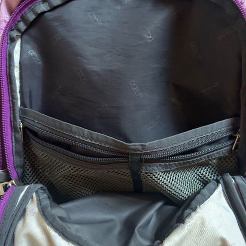 Polo school backpack like new, pink with designs and back support