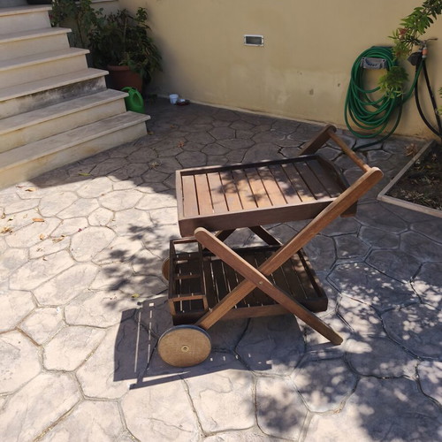 Garden bar cart with removable tray