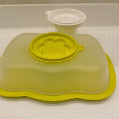 Tupperware molding container new