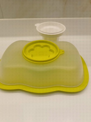 Tupperware molding container new