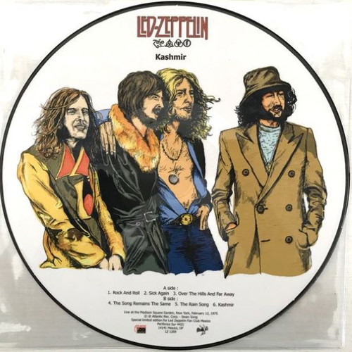 Led Zeppelin Kashmir Picture Disc vinyl new, Limited Edition Mexico