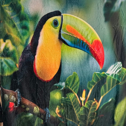 Fleece blanket with toucan design