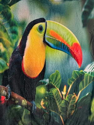 Fleece blanket with toucan design