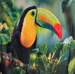 Fleece blanket with toucan design