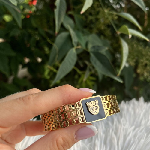 Princess stainless steel bracelet and earrings set like new, black and gold