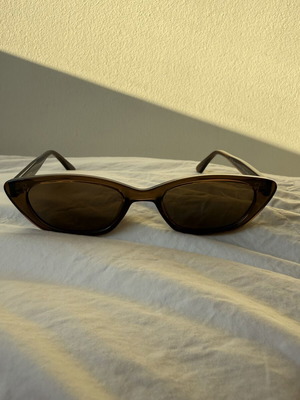 D. Franklin cat eye women's sunglasses, brown