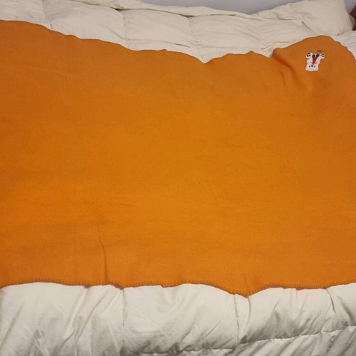 Fleece blanket bear used