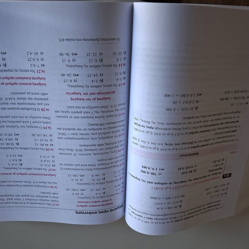 Savvalas Mathematics Grade 5 textbook like new