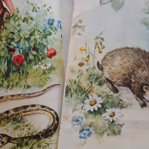Children's books used, 5 editions from the 70s by ΑΓΚΥΡΑΣ