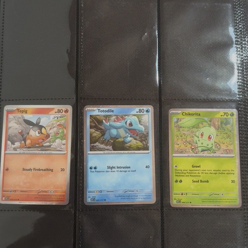 Pokémon Promo Set Totodile Chikorita Tepig new condition