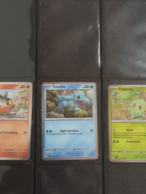 Pokémon Promo Set Totodile Chikorita Tepig new condition