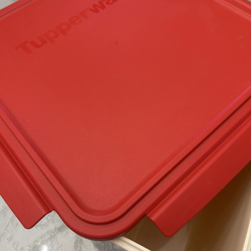 Tupperware plastic container new