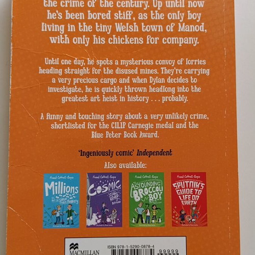 Framed the Perfect Crime children's novel by Frank Cottrell-Boyce