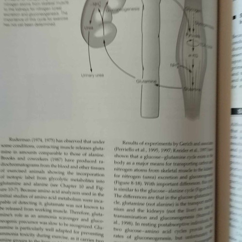 Exercise Physiology book like new, fourth edition