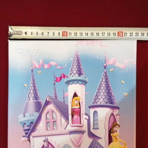Disney canvas princesses like new 22x30