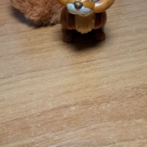 Squirrel miniature used