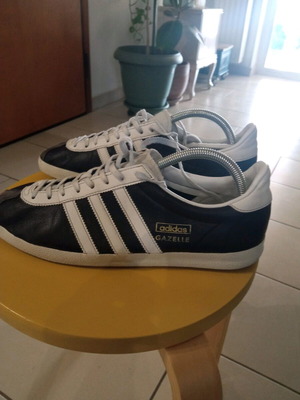 adidas gazelle" adidas gazelle"