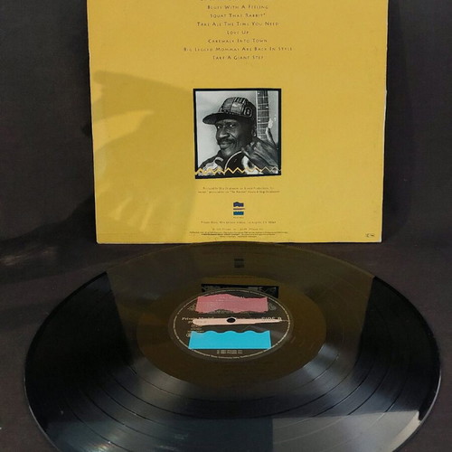 Taj Mahal Like Never Before vinyl used in very good condition