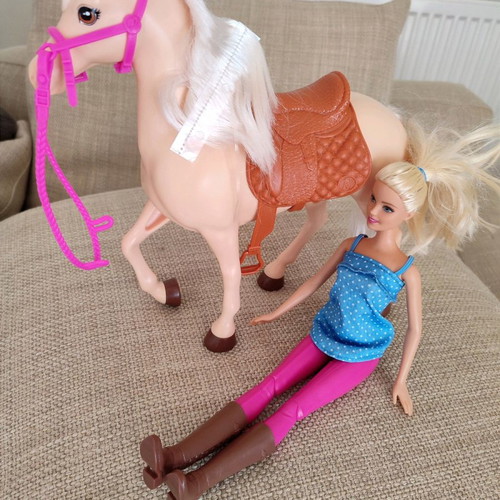 Barbie doll and horse new in excellent condition