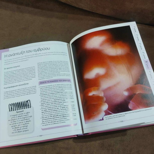 Larousse Everything About Pregnancy book like new