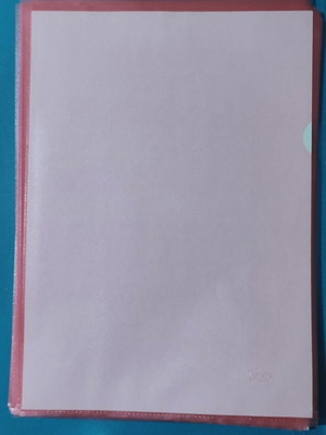 PP L-type A4 pink plastic sleeves, pack of 10, semi-transparent