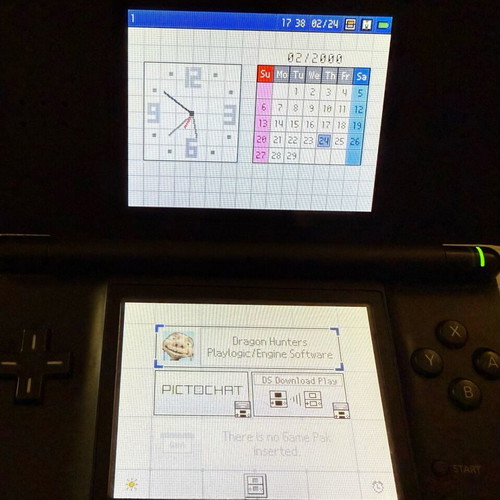 Dragon Hunters Nintendo DS game used