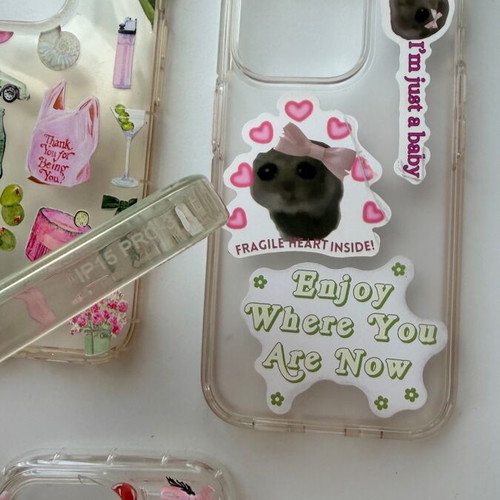 iPhone 15pro cases like new