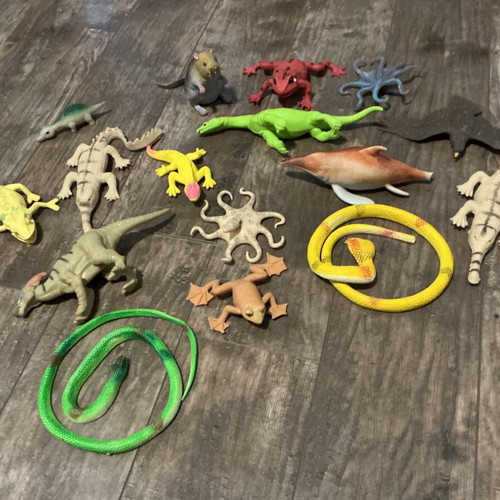 Squishy animals like new, pack