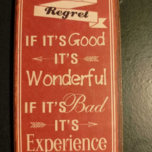 Fridge magnets set of 3 like new