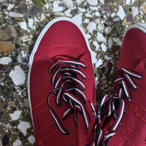 Tommy Hilfiger Dino Canvas Sneakers like new