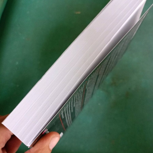 Principles of Nanoelectronics book like new